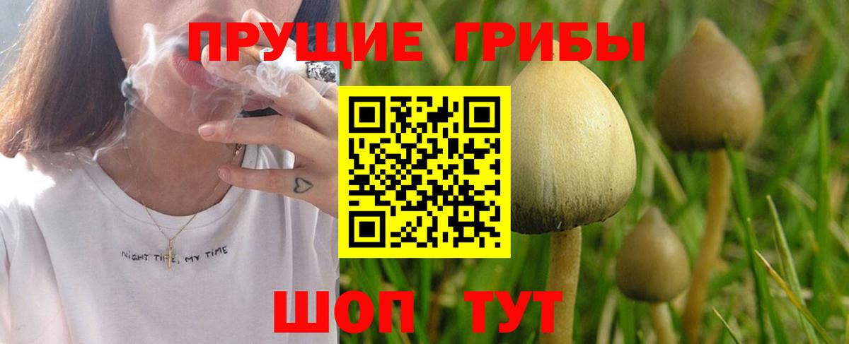 Псилоцибиновые грибы GOLDEN TEACHER Соликамск